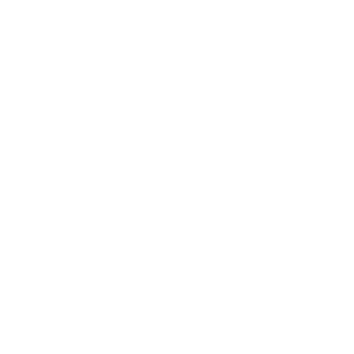 icon of the state of maryland